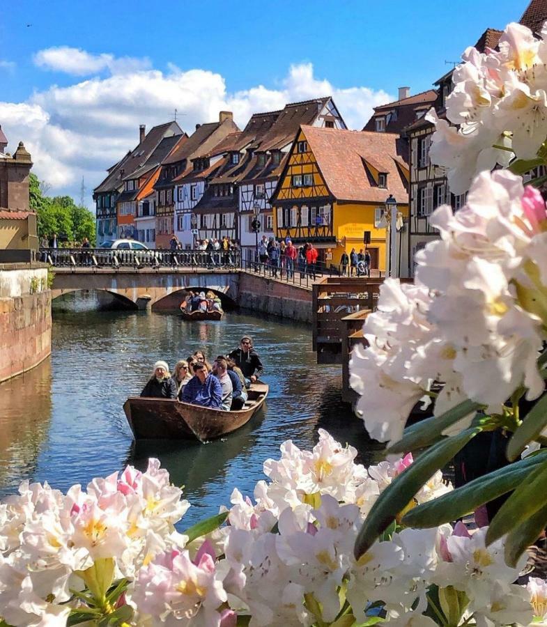 Djokovic'S Apartment Colmar Extérieur photo